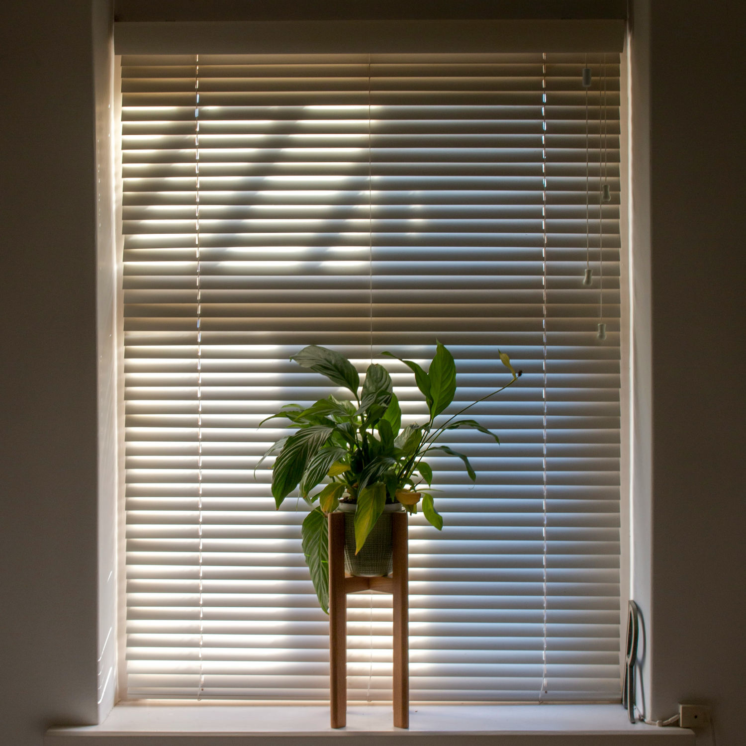 Hanging curtains & blinds